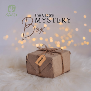 Mystery box Mystery box
