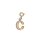 alphabet charms