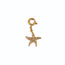 Starfish