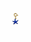 Charm small starfish colour