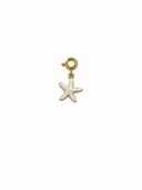 Charm small starfish colour
