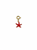 Charm small starfish colour