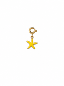 Charm small starfish colour