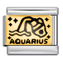 Aquarius