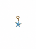 Charm small starfish colour