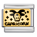 Capricorn