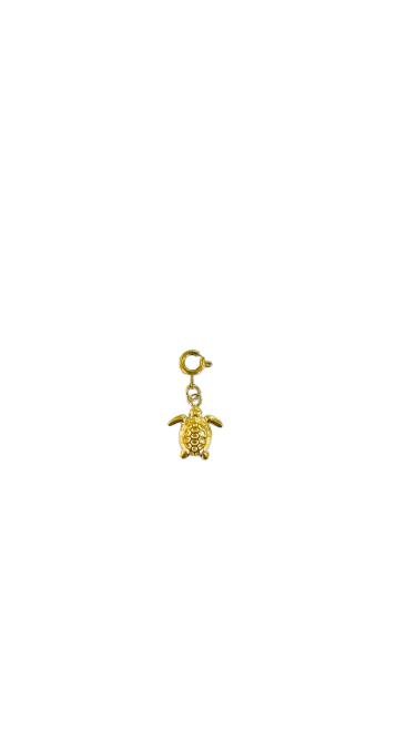 Turtle charm