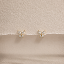 Flutter set