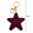 Brown star bag charm