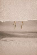 Tulsi hoops