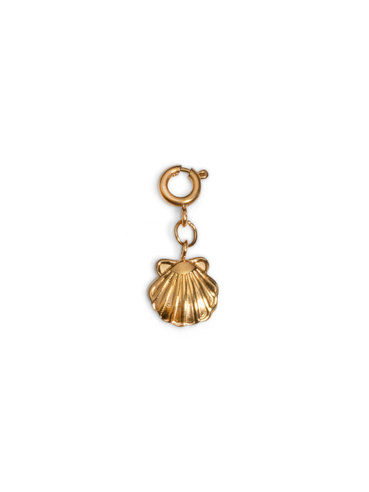 shell charm