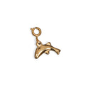 Dolphin charm