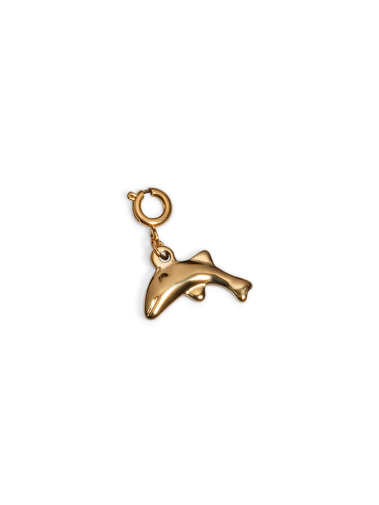 Dolphin charm