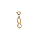 Infinity charm