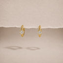 Ace hoops