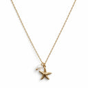Starfish chain