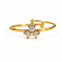 Naya ring